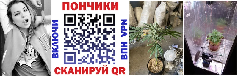 Купить закладки  Нестеров  МАРИХУАНА Ganja 